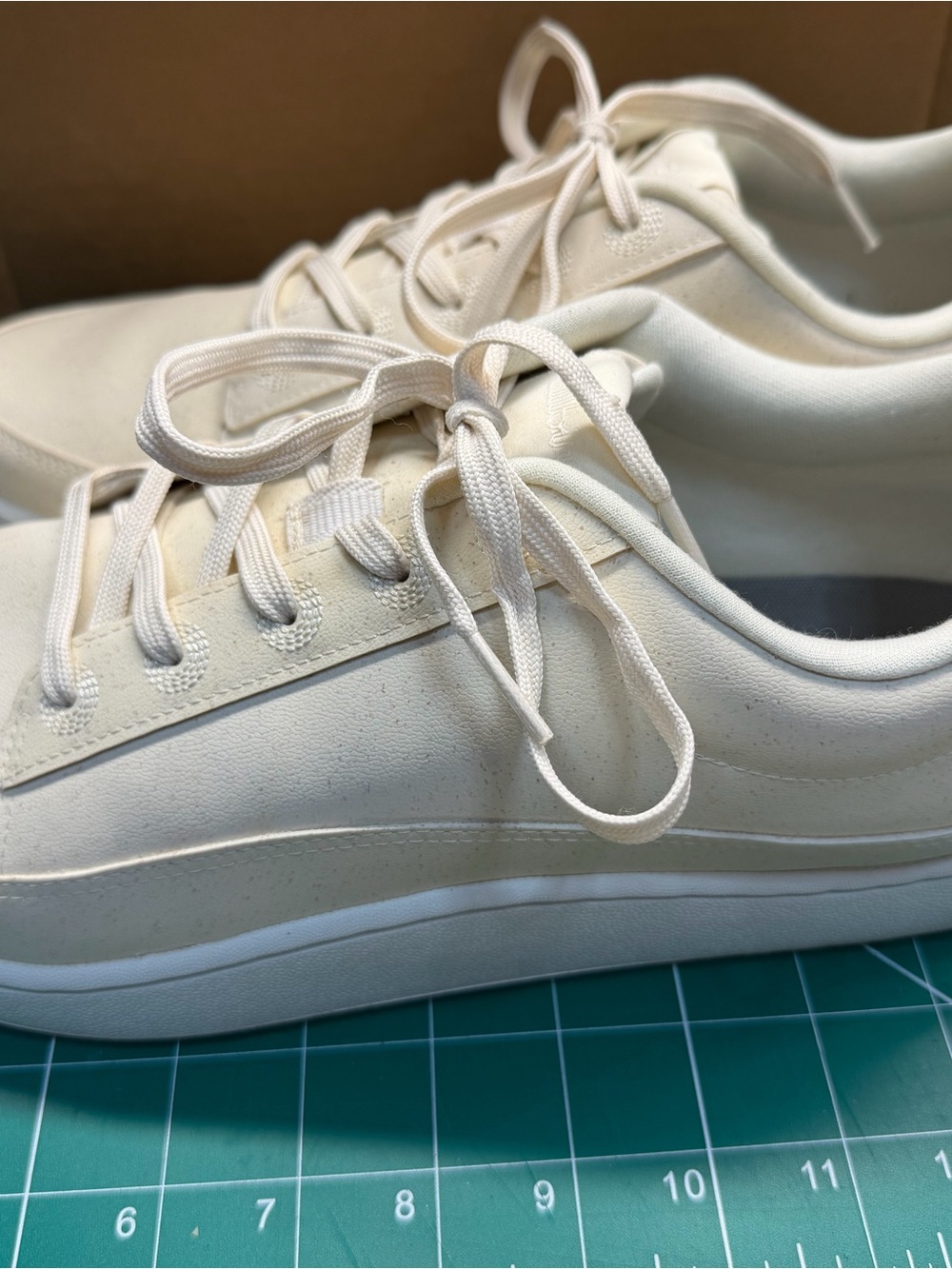Allbirds men’s sneakers size 12